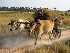 Cambodia & Thailand holiday