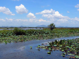 Southern Thailand holiday, reefs & rainforests