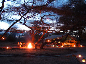 Big game safari in Kenya