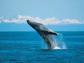 Sailing holiday in British Columbia, Canada