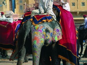 Holiday in India, Himalayan foothills