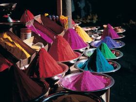 Adventure holiday in India, Wildlife & Moghul Cities