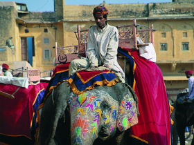Adventure holiday in India, Wildlife & Moghul Cities