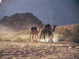 Petra & Wadi Rum holiday