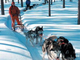 Family winter sports holiday in Finland