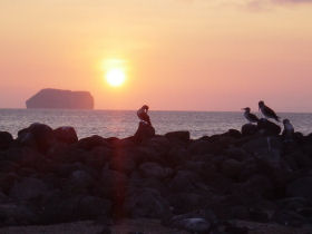 Galapagos family holiday