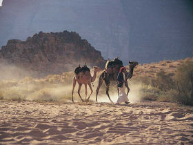 Petra tour & Wadi Rum short break to Jordan