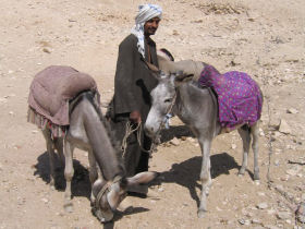 Family holiday in Egypt