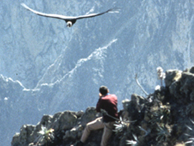 Peru tour, Andes to Amazon