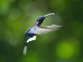 Costa Rica holiday
