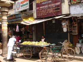 Southern India holiday
