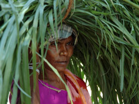 Southern India holiday