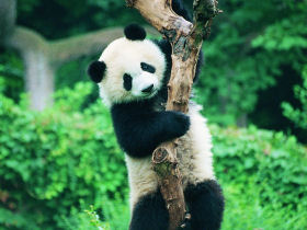 China holiday