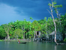 Holiday to Brazil