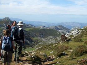 Walking holiday in Picos de Europa