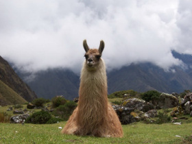 Peru adventure holiday