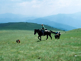 Horse riding holiday in Romania
