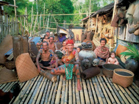 Borneo family holiday to see Orangutans