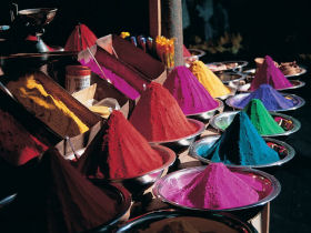 India family holidays