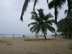 Kerala backwaters tailor made holiday