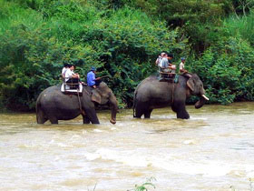 Hanoi to Saigon Overland tour