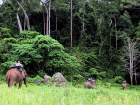 Thailand tour, jungles and islands