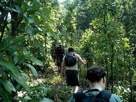 Northern Thailand tour