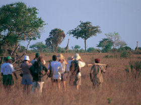 Masai Mara walking safari