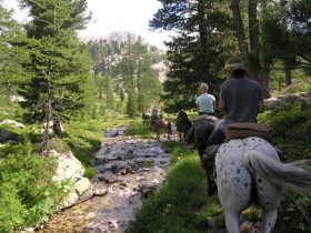 Horse riding holiday in the Mercantour