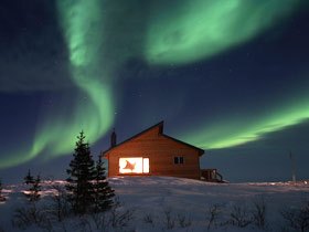 Polar bear and beluga whale watching tours in Canada