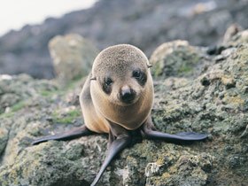 New Zealand holidays, tailor made