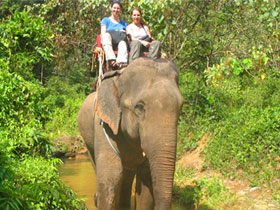 Day tours to Khao Sok NP, Thailand