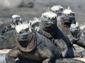 Peru and Galapagos adventure holiday