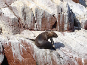 Highlights of Peru holiday