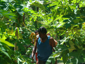 Fiji community holiday