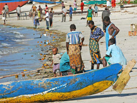 Selous safari & Mafia Islands diving holiday