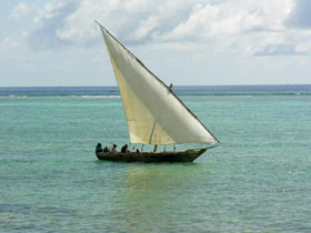 Selous safari & Mafia Islands diving holiday