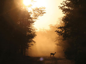 Camping safaris in Malawi and Zambia 