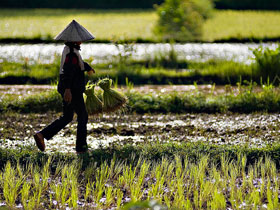 Mekong river cruises, Laos