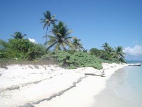 Philippines and Cambodia marine conservation holiday