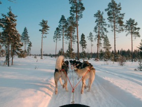 Icehotel holiday in Sweden