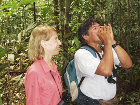 Amazon river wildlife cruise in Brazil