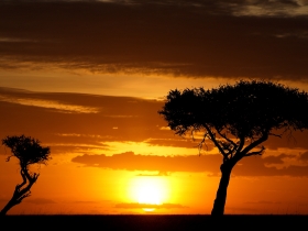 Kenya