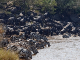 Africa safari overland adventure