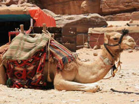 Egypt, Jordan and Israel holiday