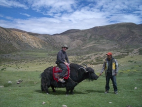 Indian Himalayas cultural holiday