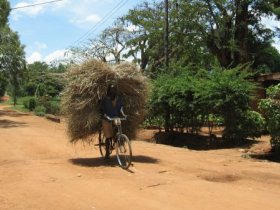 Tanzania trekking holiday