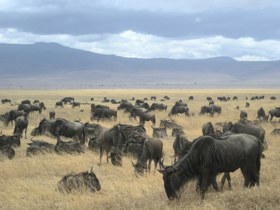 Tanzania trekking holiday
