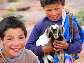 Guided trek in the Atlas mountains, Morocco