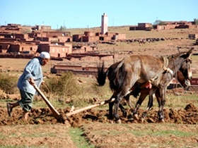 Guided trek in the Atlas mountains, Morocco